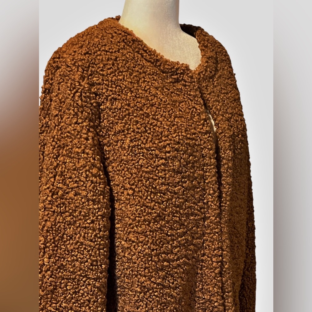NWOT Max Studio Women’s Teddy Jacket/Coat Sienna Brown Large - Picture 3 of 10